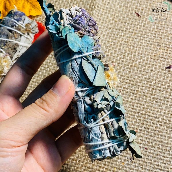 Xô trắng mix hoa oải hương và Bạch đàn dollar  – 10cm💐💐💐