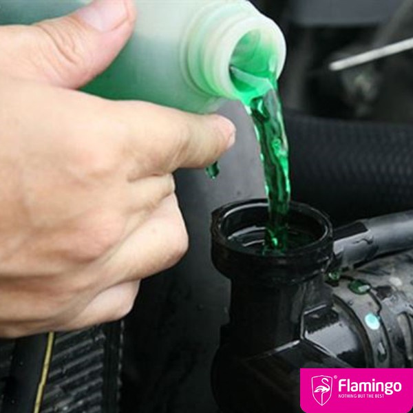 Nước Làm Mát Động Cơ Ô Tô Màu Xanh Flamingo F078 5 lít