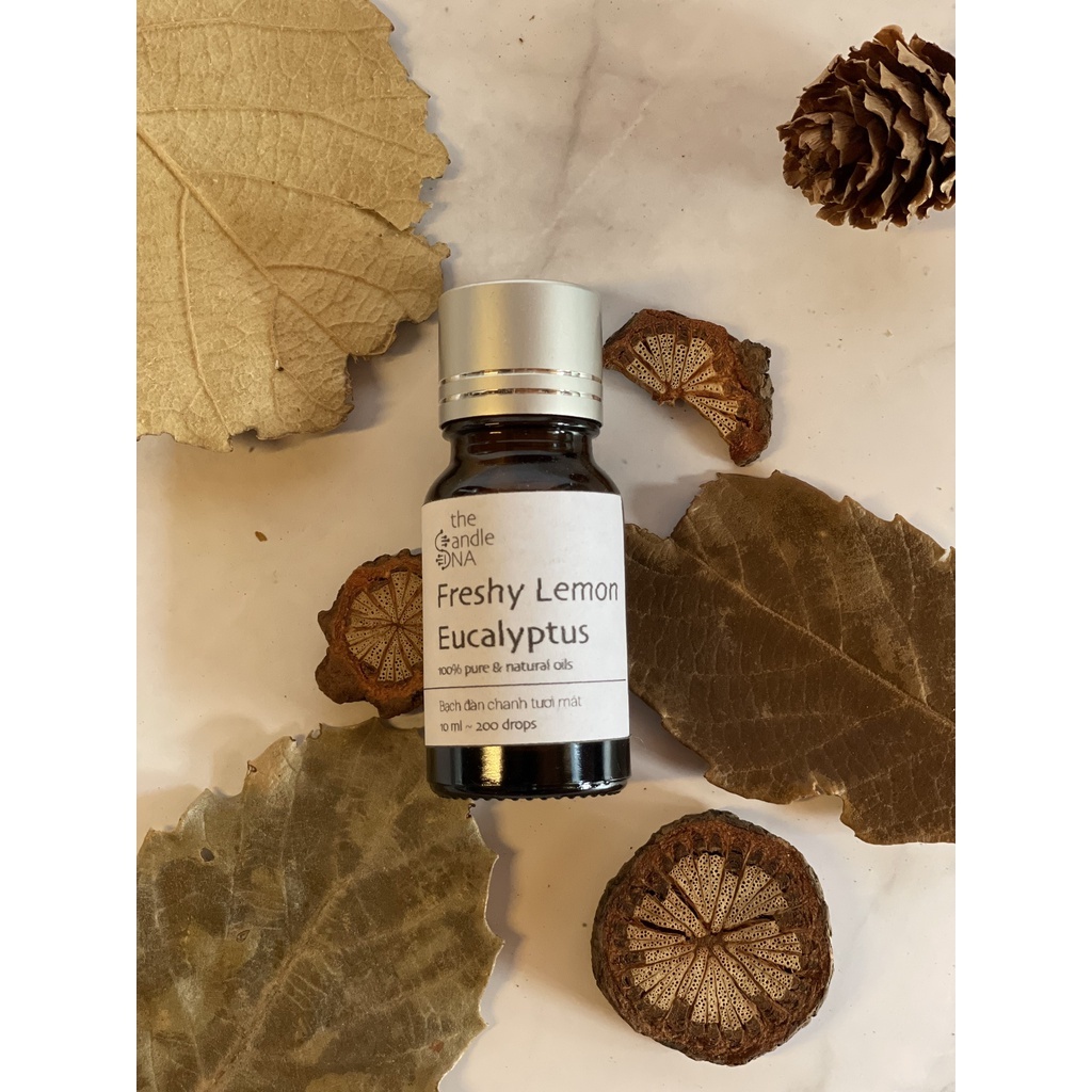- Tinh dầu thiên nhiên họ GỖ - 10ml nguyên chất - The Candle DNA