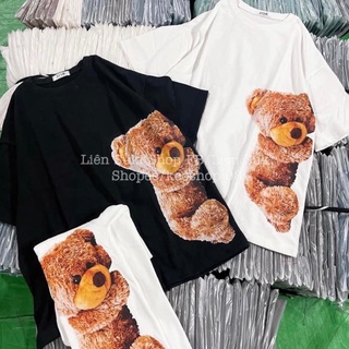 Áo phông Gấu 3D