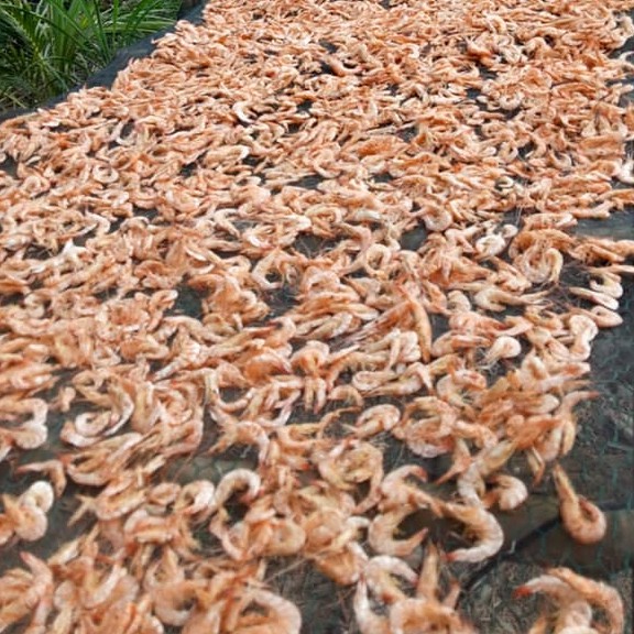 Tôm Khô Vinh Kim Loại 1 200g/1 túi