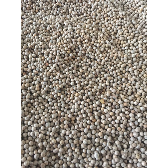 Hạt tiêu sọ trắng giá rẻ đặc sản Phú Quốc 1kg