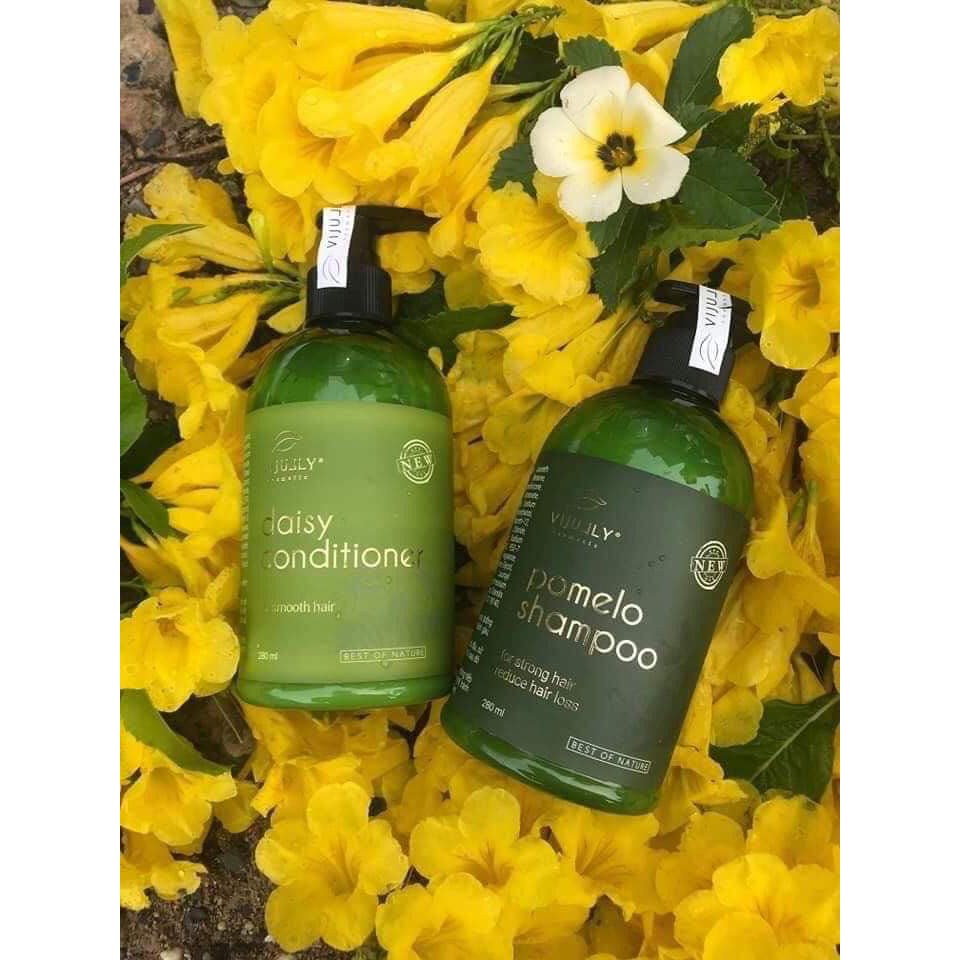 (TRỊ RỤNG TÓC) Bộ Dầu Gội Bưởi và Dầu Xả Tóc Vi Jully Phục Hồi Tóc Hư Tổn Mọc Tóc | BigBuy360 - bigbuy360.vn
