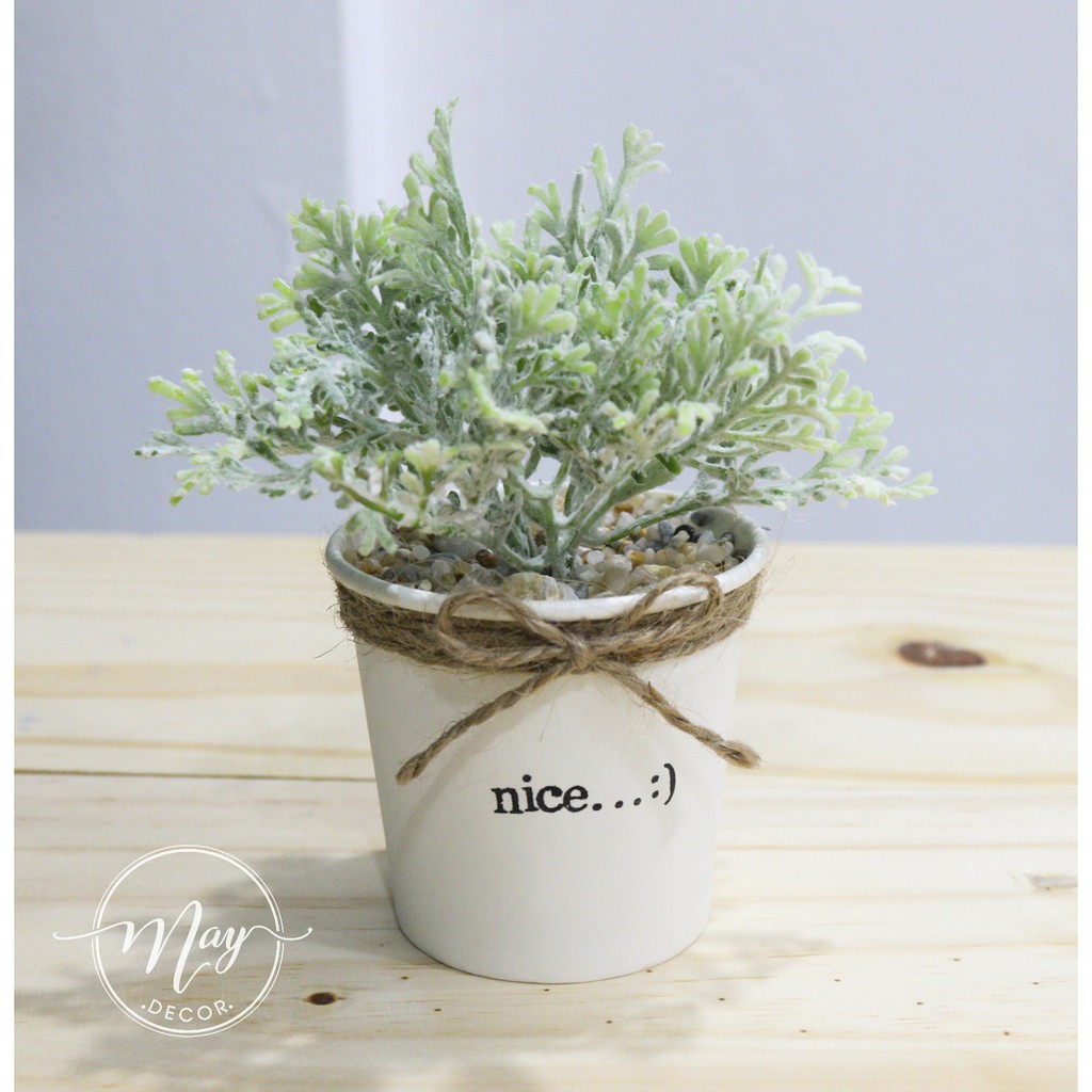 Cây giả, chậu cây mini xinh xắn chậu giấy
