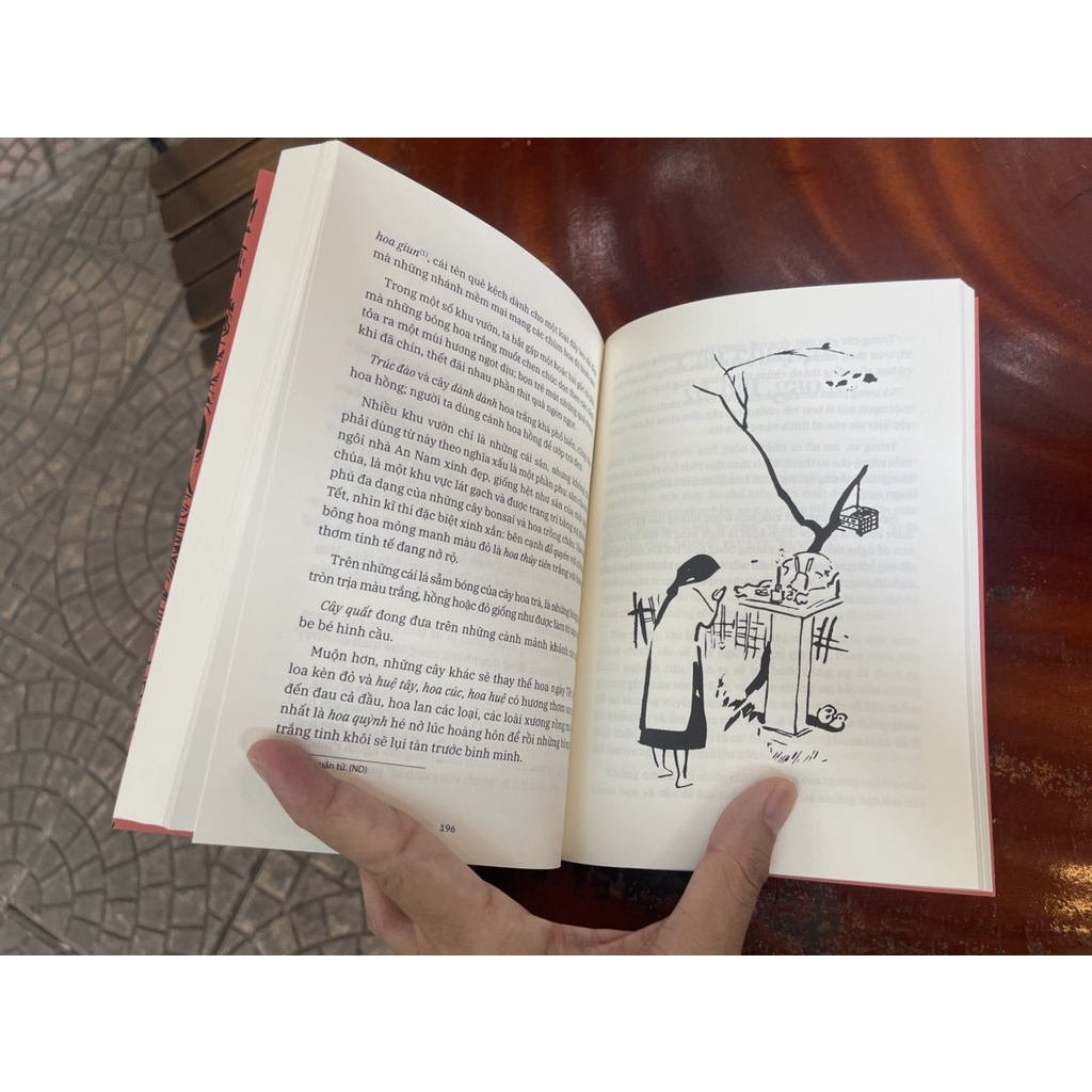Sách - Bác Kỳ phong cảnh và ấn tượng – Hilda Arnhold – Mạnh Quỳnh minh họa – Đặng Anh Đào, Hoàng Thanh Thúy dịch