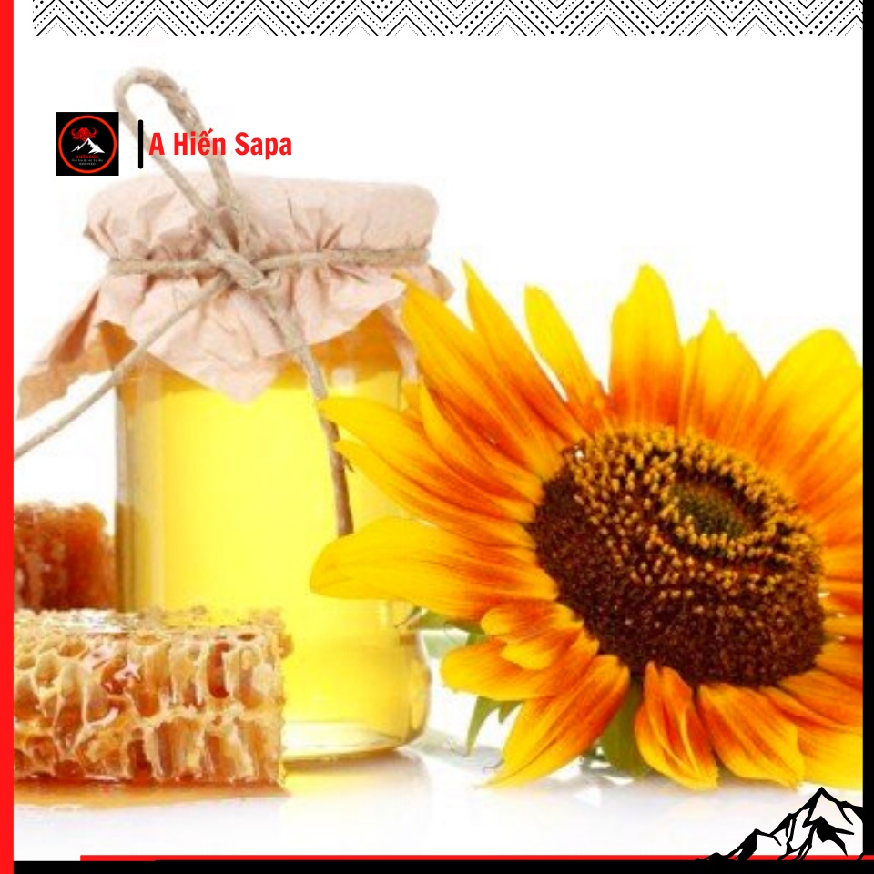 Viên nghệ mật ong lọ 500gr giá buôn, hỗ trợ làm đẹp da, rất tốt cho sức khoẻ. | BigBuy360 - bigbuy360.vn