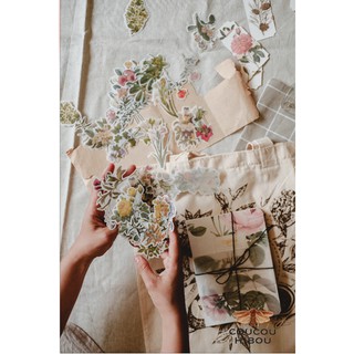  STICKER HOA CỔ ĐIỂN lớn 60 tấm