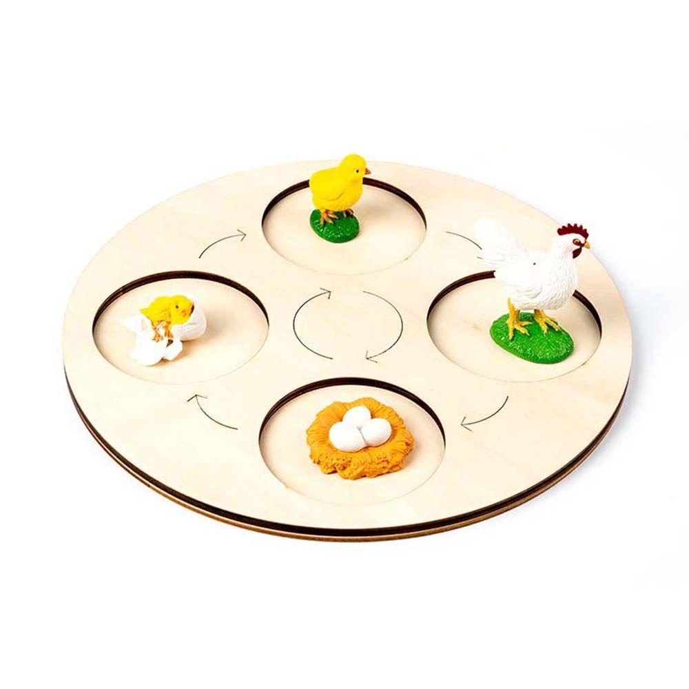 Bộ Đồ Chơi Giáo Dục Trẻ Em REBUY1 Gồm Cây / Động Vật / Cây Cối / Đồ Chơi Tăng Trưở