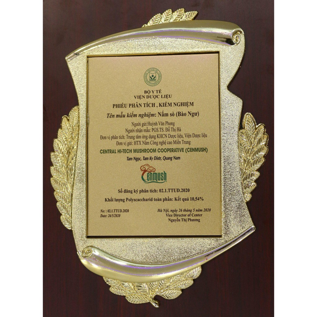 Nấm Bào ngư sấy khô CENMUSH túi zip 50gr