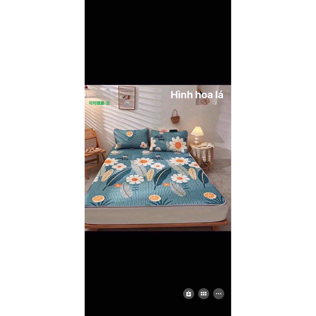 CHIẾU ĐIỀU HÒA TENCEL LATEX CAO SU NON in 3D siêu mát tặng kèm 2 vỏ gối | BigBuy360 - bigbuy360.vn