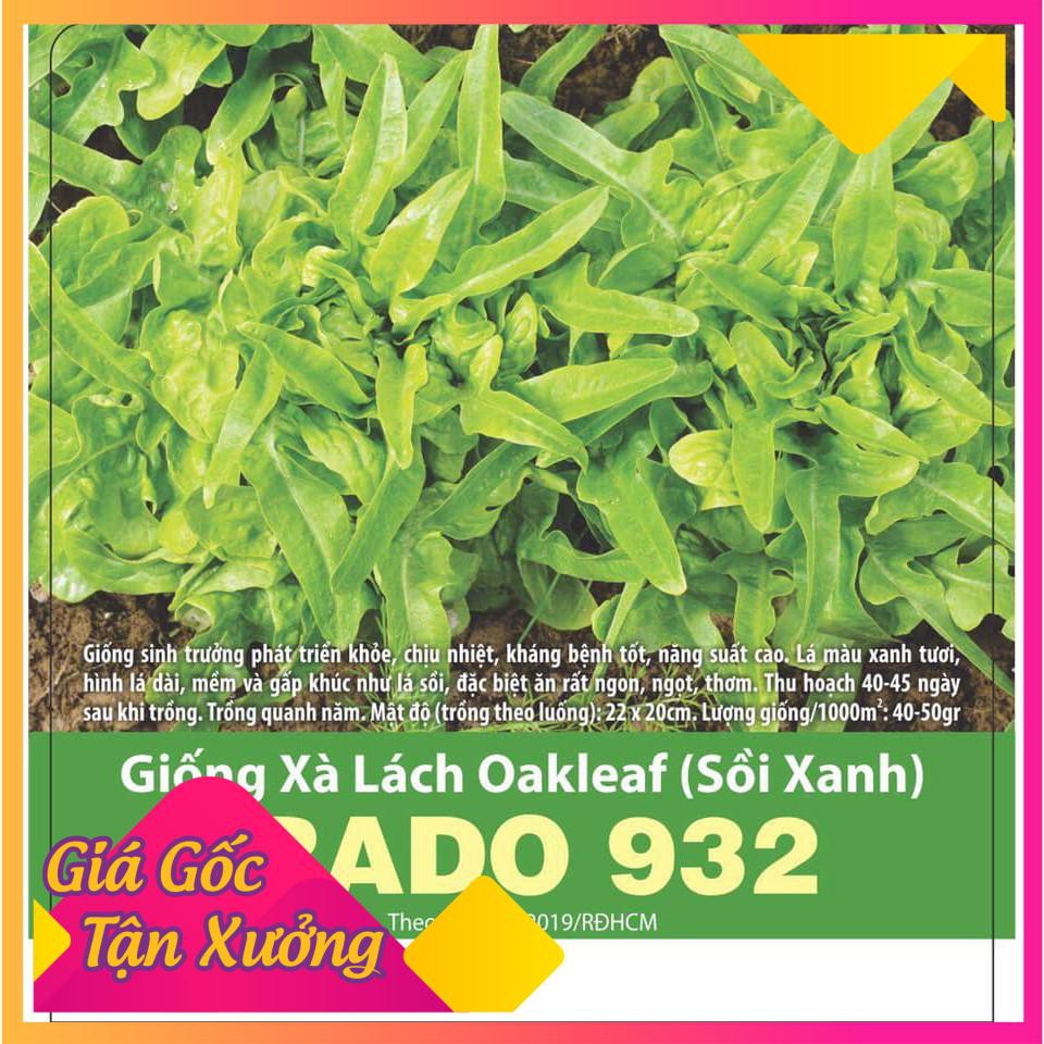 Hạt Giống Xà Lách Oakleaf (Sồi Xanh) 2gr