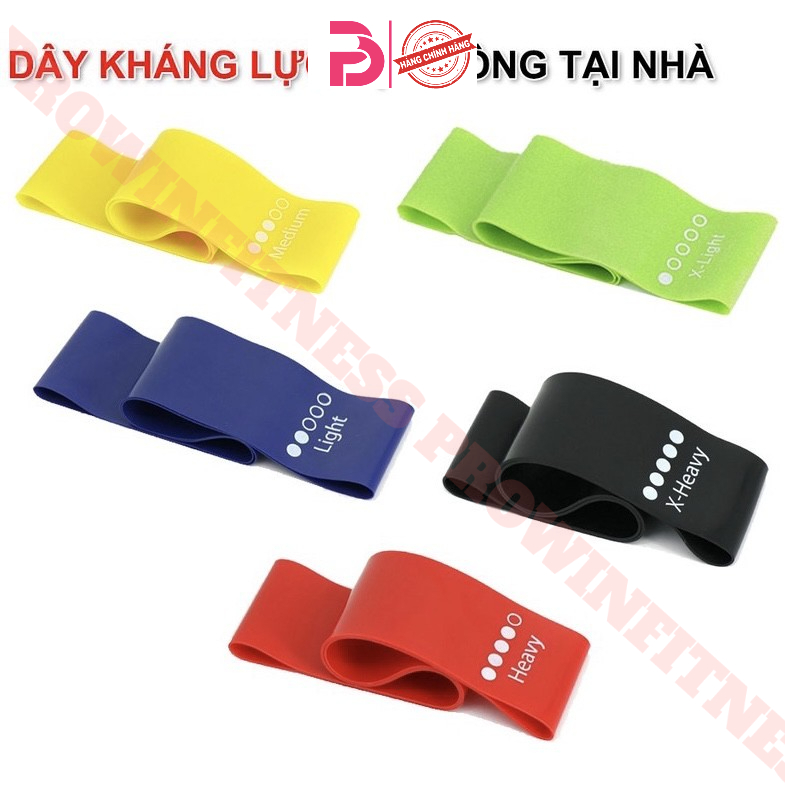 Dây tập mông tập gym miniband 5 cấp độ Prowin fitness dây cao su đàn hồi