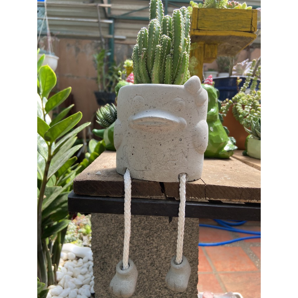 CHẬU XI MĂNG KÈM CÂY