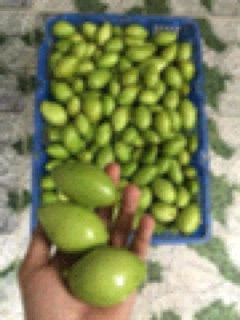 Mắm Ruốc Túi Bà Ba ❌❌❌❌ 400gr