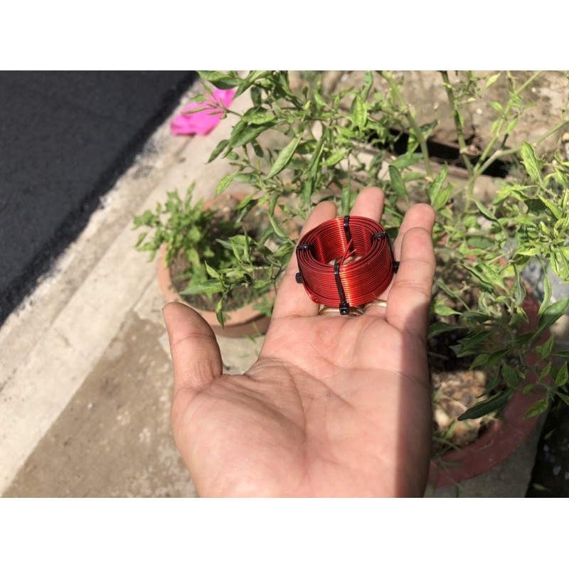 Cuộn cảm dành cho loa treble 0.24mH