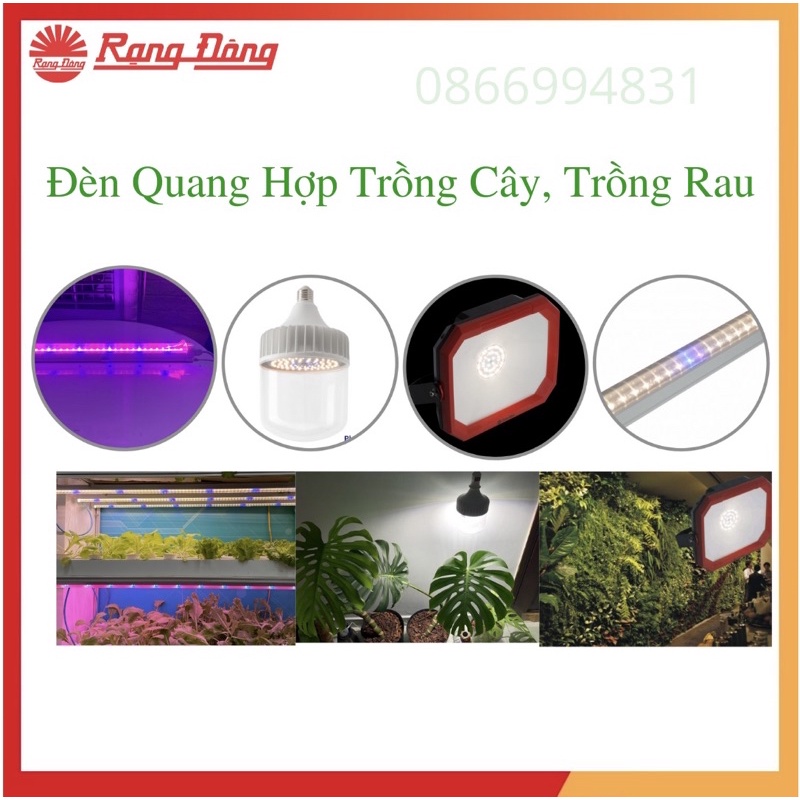 Đèn LED Trồng Cây, Đèn LED Trồng Rau Trong Nhà