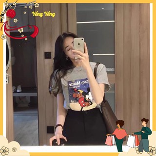 Anu255 - áo phông nữ cộc tay xám mickey mouse