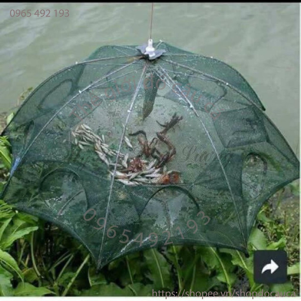 Lồng Ô ( rẻ vô địch )