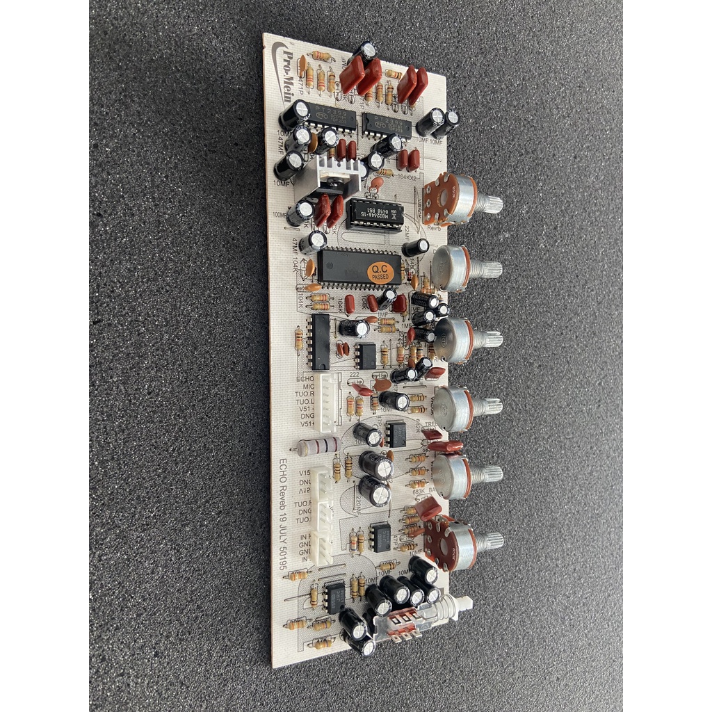 Mạch vang nhạy echo 50195 + reverb