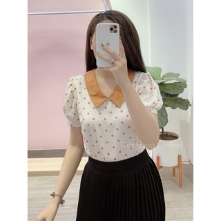Chiffon_Áo sơ mi chấm bi cổ phối