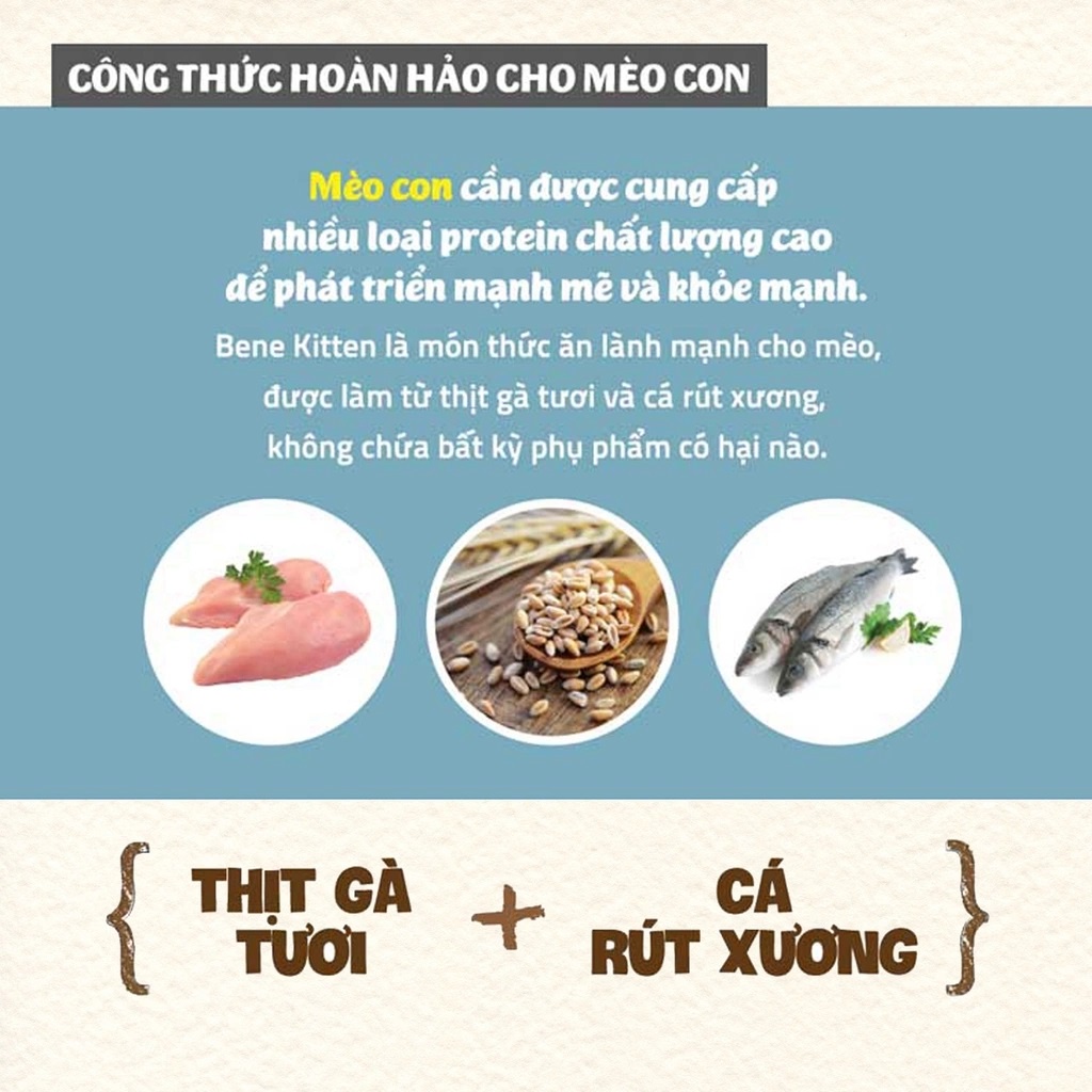 Hạt Natural Core C1 Bene Kitten cho mèo con bao 5kg
