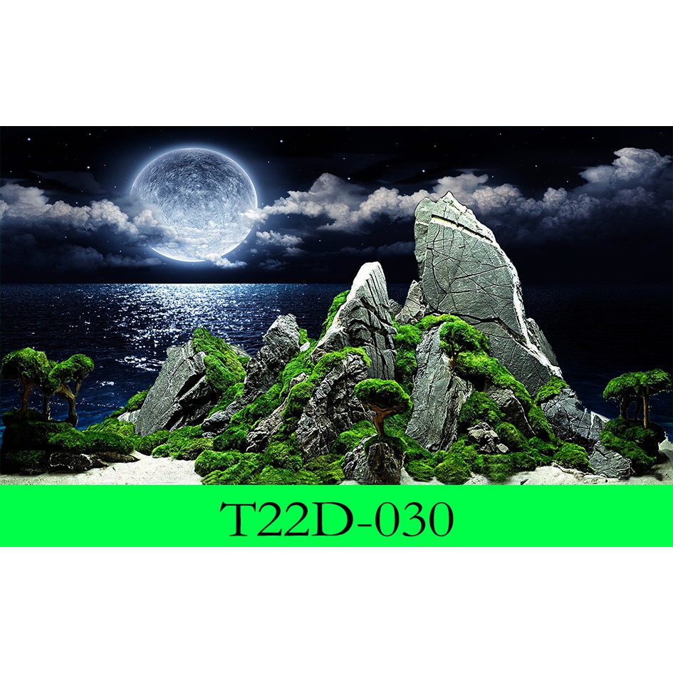 Tranh 3D bể cá  kt (60,80,90,100,1m2,1m5,1m6)