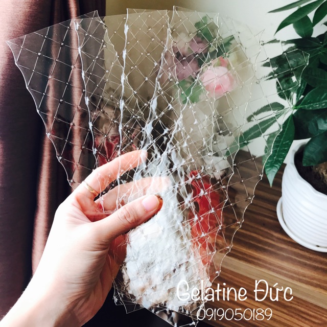 Gelatin lá của ĐỨC