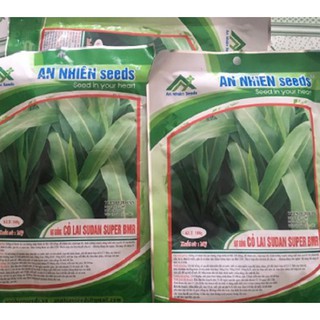 TA7879-  Hạt Giống Cỏ Lai Sudan Super BMR -DÀNH CHO TRÂU -BÒ -DÊ -THỎ - CÁ... GÓI 100G