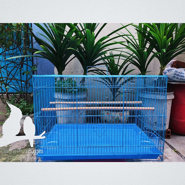 Lồng chim lớn sơn tĩnh điện 40x60 (DxR) nuôi: vẹt, chào mào, chim cảnh, sóc... đủ phụ kiện (2 cóng ăn, 1 cầu đứng).