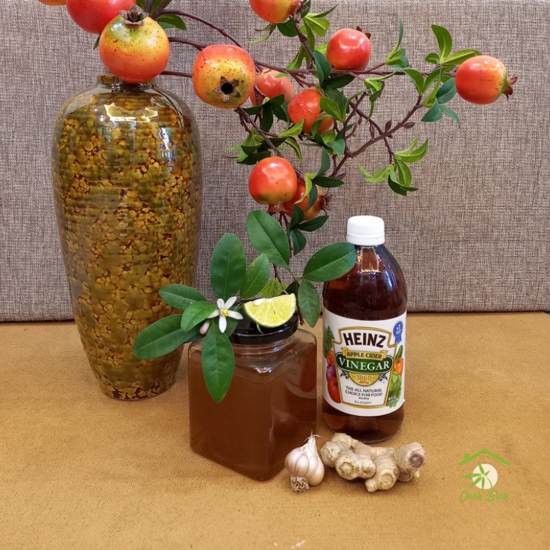Detox tỏi gừng chanh giấm táo mật ong đào thải độc tố chai 500mL_BEP NGON NGON