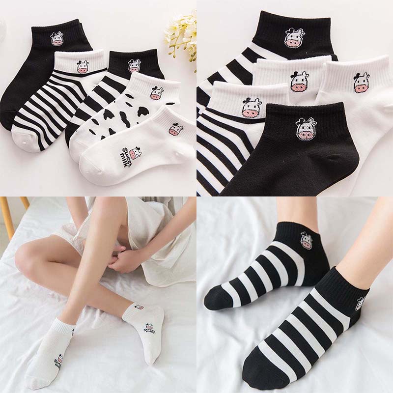 Tất cotton ngắn co giãn đáng yêu thời trang cho nam và nữ YR