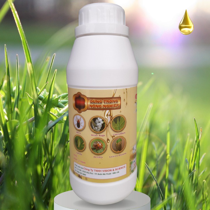 DẦU KHOÁNG 500ML: PHÒNG NGỪA SÂU, NHỆN, BỌ TRĨ, RỆP SÁP…CÔN TRÙNG CHÍCH HÚT