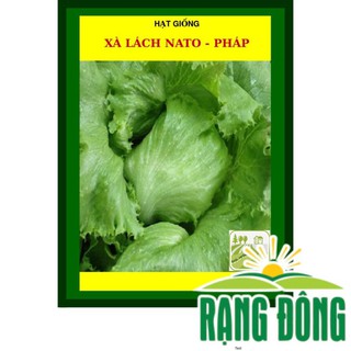 Hạt Giống Rau Xà Lách Xoăn Pháp 1 Gram  - Hạt Giống Chịu Nhiệt