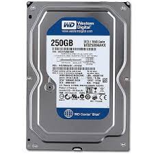 Ổ cứng HDD WD Western Digital 250GB 3.5" - Sata 3 - Bảo hành chính hãng 1 tháng | BigBuy360 - bigbuy360.vn