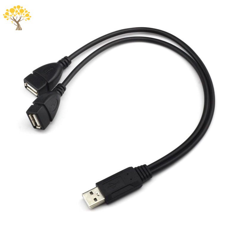 Dây Cáp Chữ Y Chuyển Đổi Đầu Usb 2.0 1 Đầu Đực Sang 2 Đầu Cái