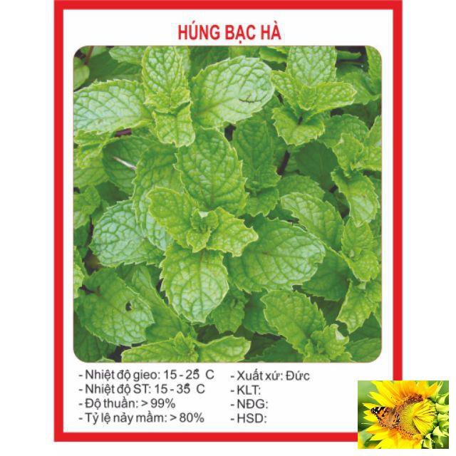 Hạt Giống Húng Bạc Hà Húng Lủi 50 hạt