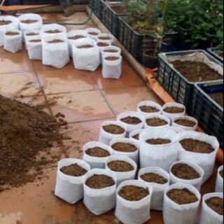 túi vải trồng cây cỡ 30x30cm có quai xách
