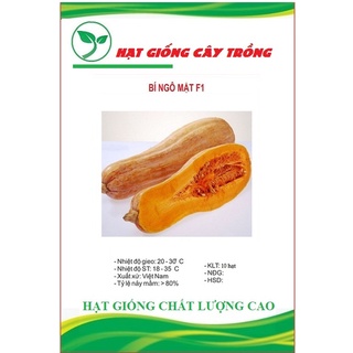 Hạt giống bí đỏ trái dài - bí rợ, bí sáp ct10