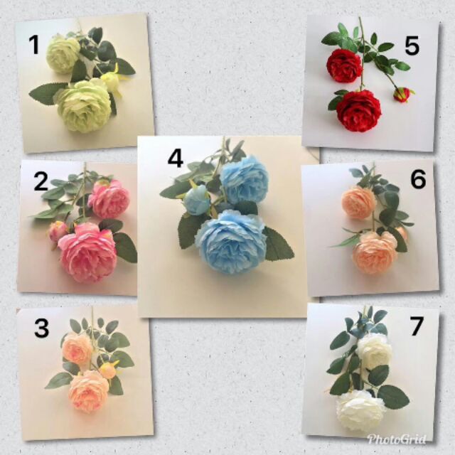 10 cành hoa hồng vải