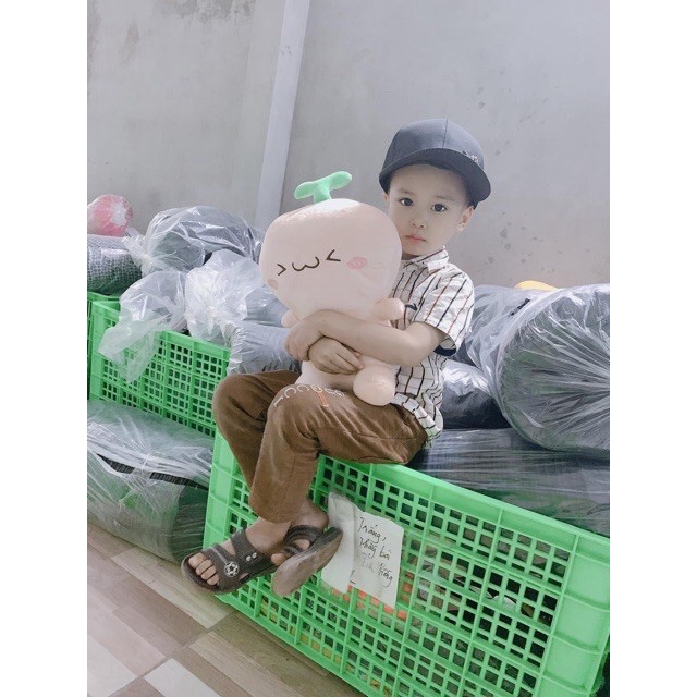 [Freeship 50k] Gấu Bông Hình Mầm Cây Size 45Cm  Có Ảnh Thật  Thú Nhồi Bông Mầm Cây 45Cm Cute Siêu Dễ Thương