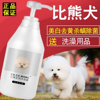 Sữa tắm đặc biệt Bichon, sữa tắm cho chó, lông trắng dành riêng cho chó con trưởng thành làm đẹp lông từ vàng đến trắng