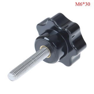 Núm khóa vặn m6 x 30 mm