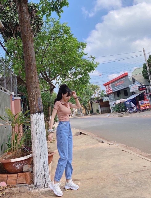 ÁO CROPTOP 3 MÀU POLO