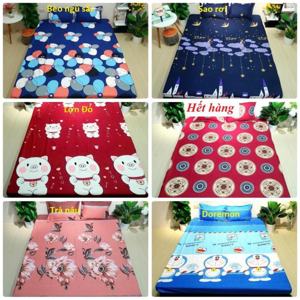 Free Ship Bộ drap ga gối poly cotton m6/m8 ( được chọn mẫu)