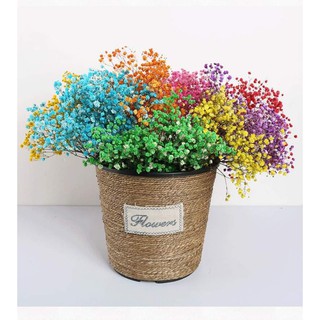 Hoa baby khô trang trí decor xinh xắn(shop có bán theo combo các bó nhỏ)