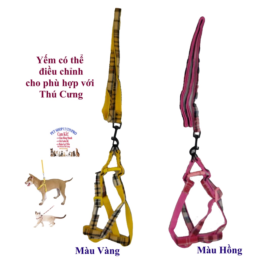 Dây dắt kèm yếm cho Chó Mèo Từ 5kg đến 10kg Bản rộng 1.5cm In KIỂU THỔ CẨM Chất liệu dù Chắc chắn, Yếm có thể điều chỉnh