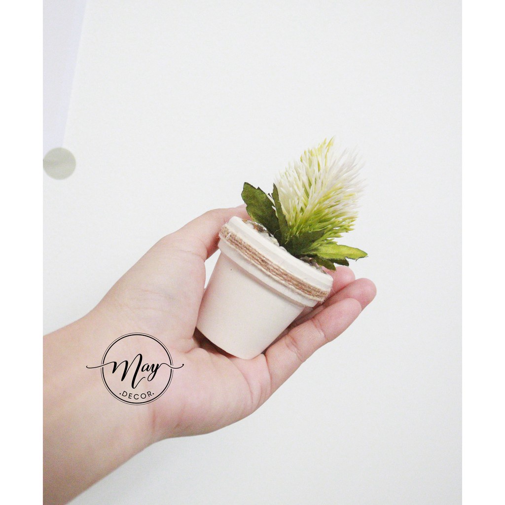 Cây giả - Chậu cây mini size 5cm - trang trí, chụp ảnh, quà tặng ý nghĩa