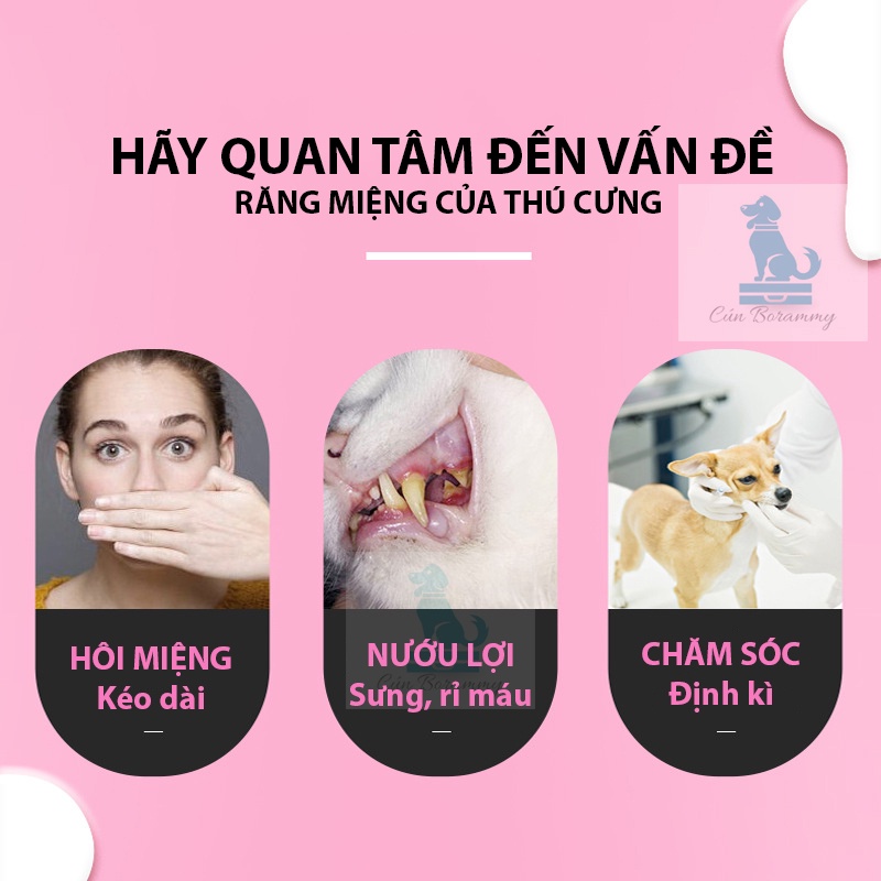 Kem đánh răng cho chó mèo thương hiệu Borammy - Kem đánh răng cho thú cưng-120g