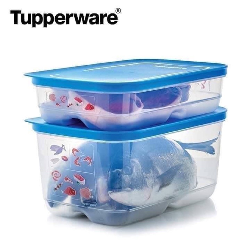 Bộ 2 hộp BQTP ngăn đông mềm Tupperware Coolmate