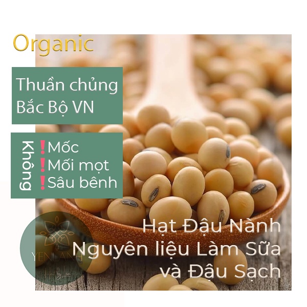 Hạt đậu nành-đậu tương MỚI nguyên liệu làm sữa và đậu hũ sạch 200gr-500gr-Yenlanhnatural